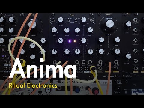 Ritual Electronics Anima Function Generator image 5