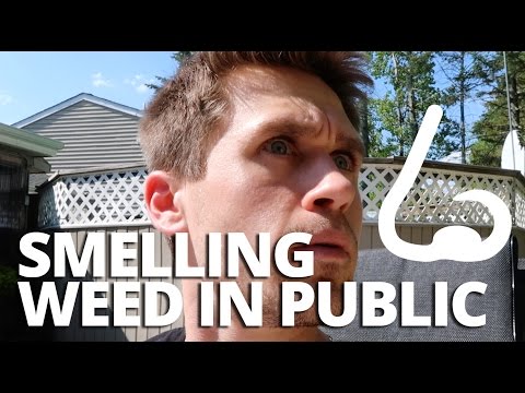 SMELLING WEED IN PUBLIC
