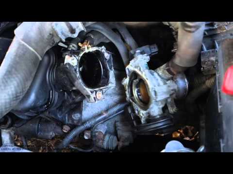 What looks throttle body gasket leak