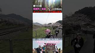 【Trail　running】採銅所ー皿倉カントリーレース/八幡山岳会#shorts
