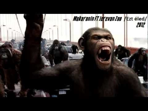 Makaronin Ft. Jereván Zoo - Ezt éled