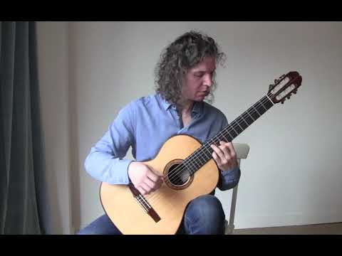 Sergei de Jonge Sergei De Jonge Lattice-Braced Spruce Top Classical Guitar 2004 - French polish image 7