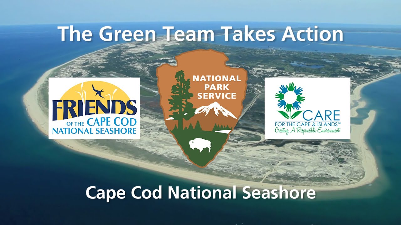 The Green Team Takes Action