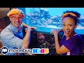 Blippi Visits Aquarium Of The Pacific Fun And Educational Videos For Kids Learn Sea Animals