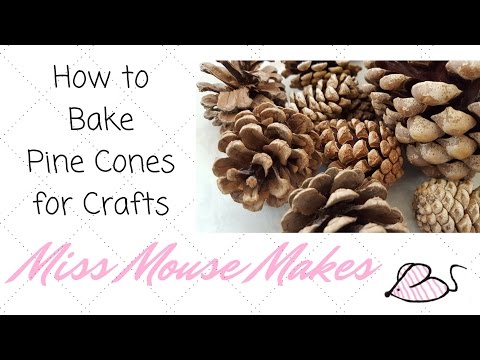 download lagu mp3 mp4 How To Bake Pine Cones, download lagu How To Bake Pine Cones gratis, unduh video klip How To Bake Pine Cones