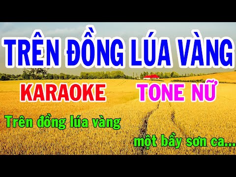 Karaoke Trên Đồng Lúa Vàng( Tình Ca Trên Lúa) Tone Nữ Nhạc Sống gia huy karaoke