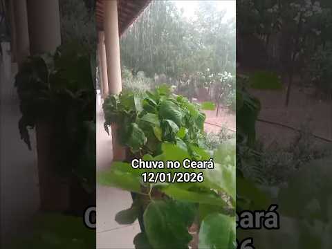 🇧🇷 CHUVA NO CEARÁ, VILA BARREIROS, PORTEIRAS CEARÁ 12/01/2026 #chuvas #sitio #chuva #vidanaroça