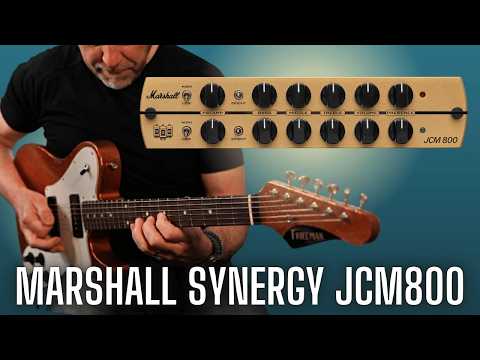 Synergy Marshall JCM 800 Preamp Modul image 7