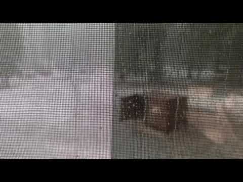 un-forecasted hail storm