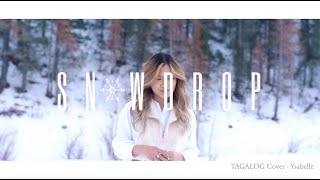 Wishes - Jamie Miller [설강화 Snowdrop OST] (Tagalog Cover)
