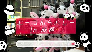最後の中国旅行🇨🇳成都の旅