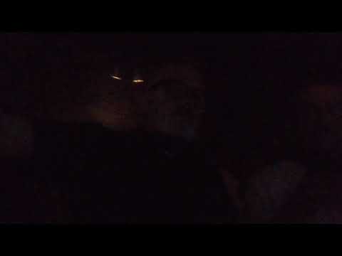 Stefano Gambarelli - Lara Caprotti Performance TuttoReggio 2000 - may 2018