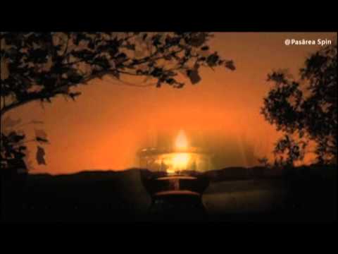 metamorfoze 82-despre morți și cărți