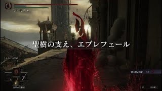 神狩りの剣マン・エルデンリング侵入２日目