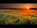Evenings Spent Still by Nathan Ford