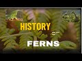 THE HISTORY OF FERNS