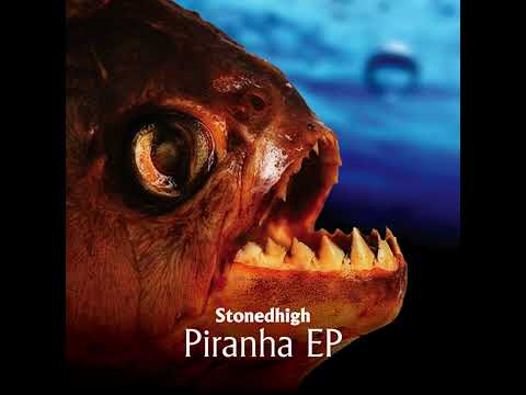 Stonedhigh - Steeple Chase