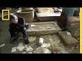 Culture Heroes Corine Wegener Nat Geo Live