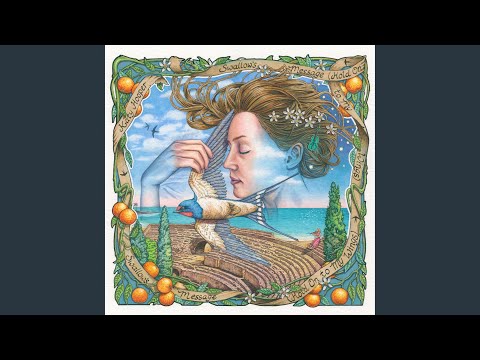 Swallow's Message (Hold On to My Wings)