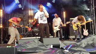 Idles - Well Done (live at Standon Calling 2017)