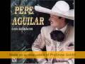 Pepe Aguilar - Me Bebi Las Estrellas