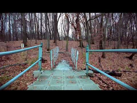 4K Ambient Deep Late Fall Virtual Walk 50 mins, Late Fall Forest Path [ASMR Walk in the Woods]