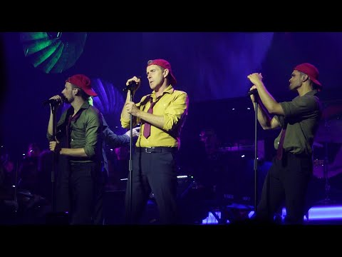 Lost in the Woods (Frozen 2) - Earl Carpenter, Tobias Joch, Richard-Salvador Wolff - Disney100