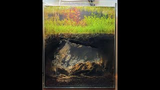 [問題] 想請教這種景該用什麼關鍵字去找?