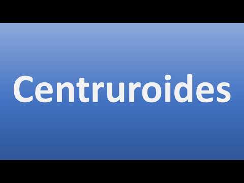 How to Pronounce Centruroides (Genus of Scorpions)