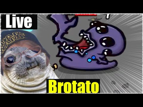 *LIVE* SCHAFFE ICH MEINEN ERSTEN BOSS? - Brotato [Deutsch/German]