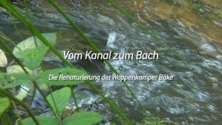 Woppenkamper Bäke - Vom Kanal zum Bach