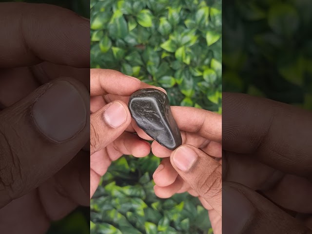 Vishnu Charan Paduka Darshan Laghu Shaligram video