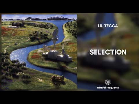 Lil Tecca - Selection ft. Skrillex & DJ Scheme (432Hz)