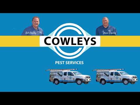 Charlie in Manalapan, NJ Gives Feedback on Cowleys