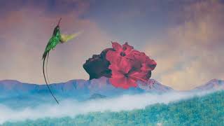 Zara McFarlane - My Story