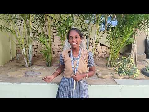 MIPER UDBHAV REGISTRATION PROMO