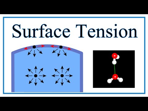 Surface Tension of Water Explained