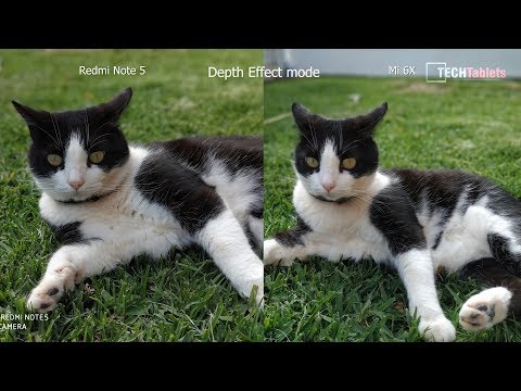 Xiaomi Mi 6X / Mi A2 Vs Redmi Note 5 / Mi Max 3 Camera Comparison