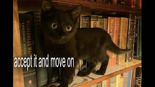 accept it and move on