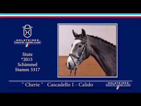 04 | Cherie v. Cascadello I - Calido I