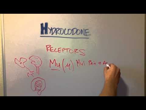 How Hydrocodone (and other opioids) Works