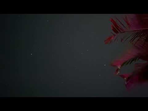 Night Timelapse 16/02/22 10:30pm