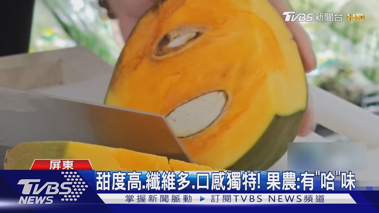 屏東九如推新品種「椰柿」　果農曝：有「哈」味