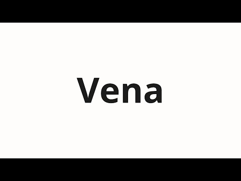 How to pronounce Vena