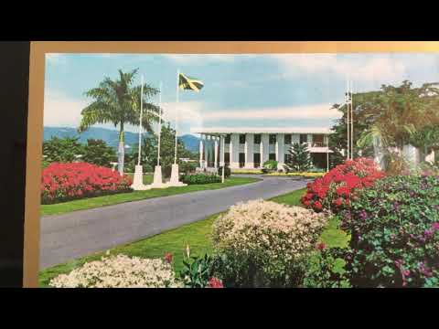 JAMAICANS LOVE (NYAM)CHINESE FOOD.