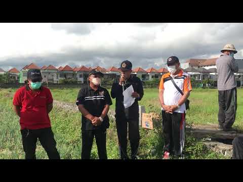 KEGIATAN PKT PANEN BAWANG MERAH KELOMPOK TANI 