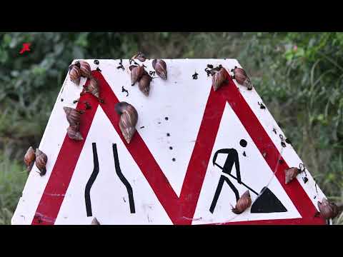 EXTRA JOURNAAL 1 DECEMBER 2022