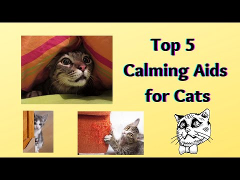 Top 5 Calming Aids for Cats. Stop spraying, fighting, ruining things, and help stressed, anxious cat