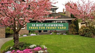 10 Best Flowering Trees for Front Yard 🌳🌸�