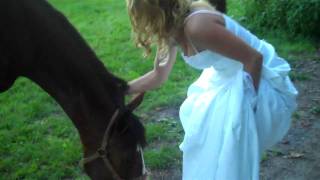 preview picture of video 'Wedding wish granted...A horse!'